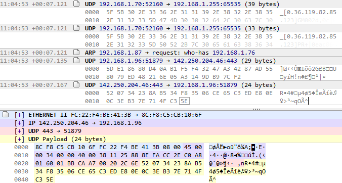 _images/pcap-sniffer-logs.png