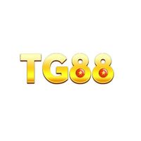 Tg88ny com