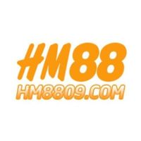 hm8809com1