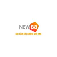 new882info6