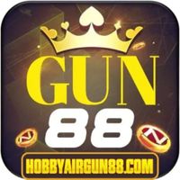 hobbyairgun88com