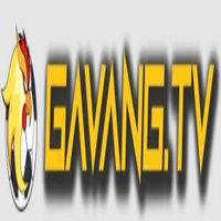 Gà Vàng TV Xem Trực Tiếp Bóng Đá Full HD Mượt Nhất