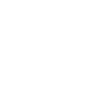 S666 Biz