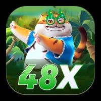 48x