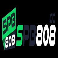 SPB808 Portal game