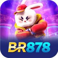BR878