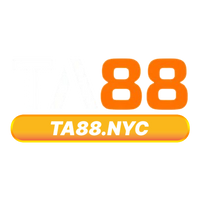 ta88nycc