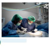 Obstetrics and gynecology