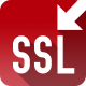 SSL Server Terminal
