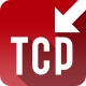TCP Server Terminal